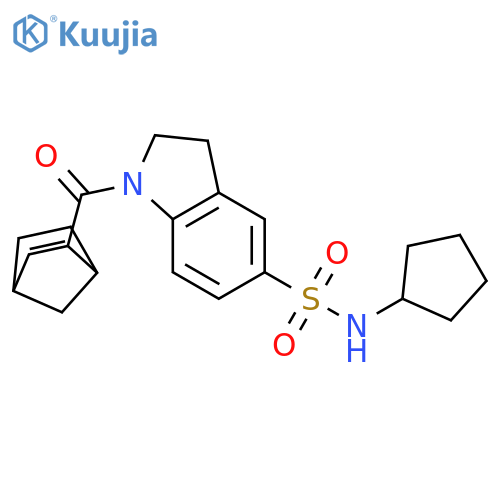 1-{bicyclo[2.2.1]hept-5-ene-2-carbonyl}-N-cyclopentyl-2,3-dihydro-1H-indole-5-sulfonamide structure