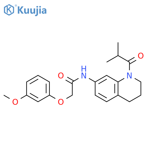 2-(3-methoxyphenoxy)-N-[1-(2-methylpropanoyl)-1,2,3,4-tetrahydroquinolin-7-yl]acetamide structure
