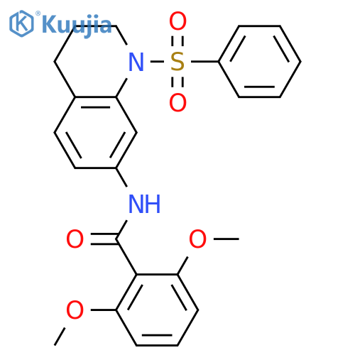 N-[1-(benzenesulfonyl)-1,2,3,4-tetrahydroquinolin-7-yl]-2,6-dimethoxybenzamide structure