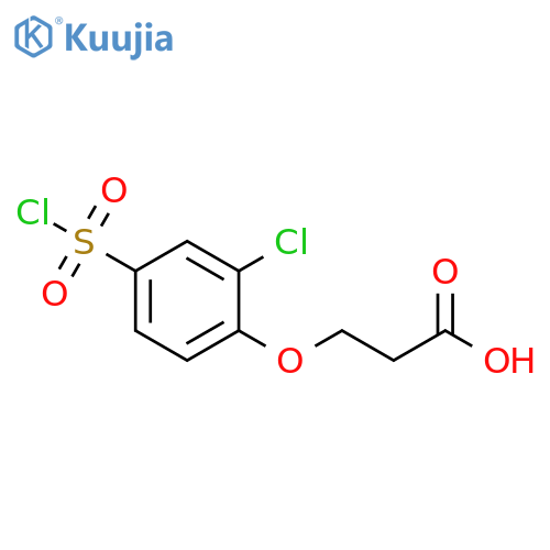 3-(2-Chloro-4-chlorosulfonyl-phenoxy)-propionic acid structure