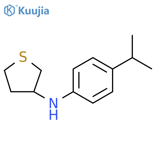 N-[4-(propan-2-yl)phenyl]thiolan-3-amine structure