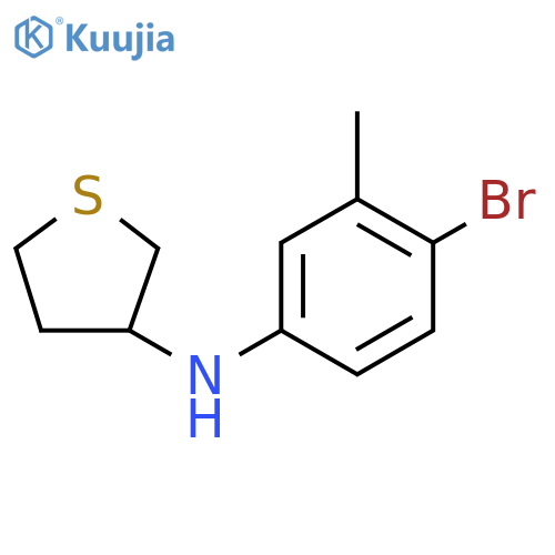 N-(4-bromo-3-methylphenyl)thiolan-3-amine structure