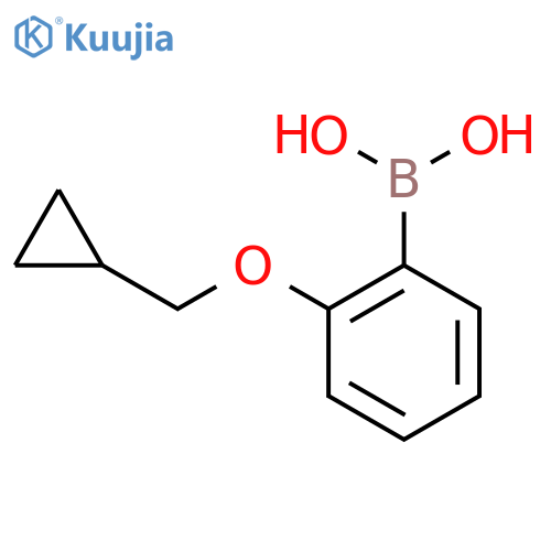 (2-(Cyclopropylmethoxy)phenyl)boronic acid structure