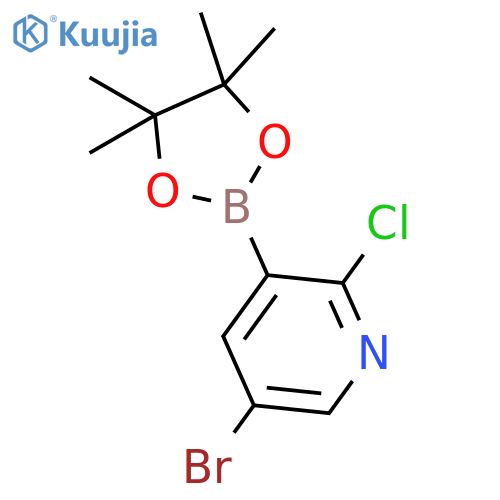 5-Bromo-2-chloro-3-(4,4,5,5-tetramethyl-1,3,2-dioxaborolan-2-yl)pyridine structure