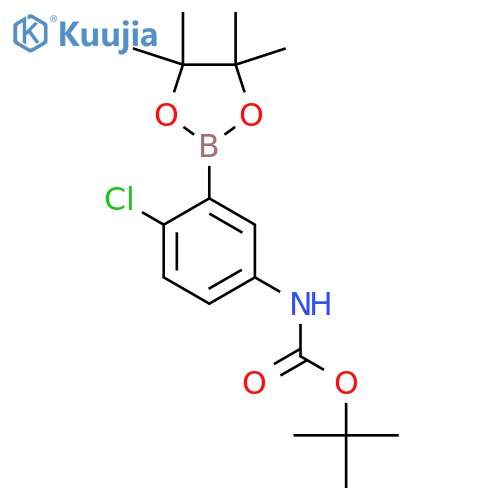 tert-butyl N-[4-chloro-3-(4,4,5,5-tetramethyl-1,3,2-dioxaborolan-2-yl)phenyl]carbamate structure