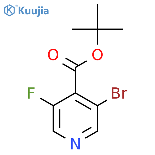 3-Bromo-5-fluoro-isonicotinic acid tert-butyl ester structure
