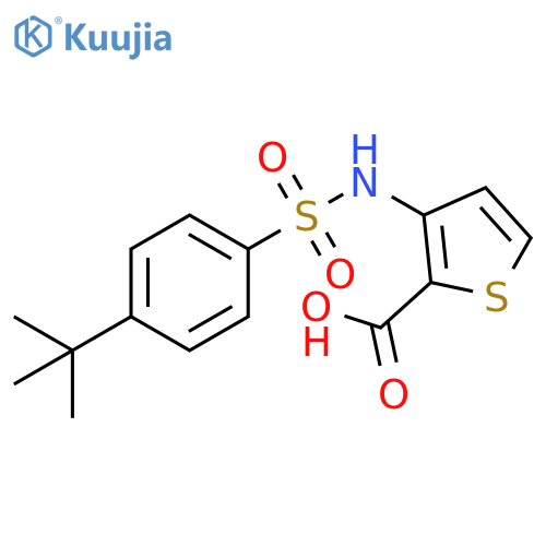 3-(4-tert-Butylbenzenesulfonamido)-thiophene-2-carboxylic acid structure