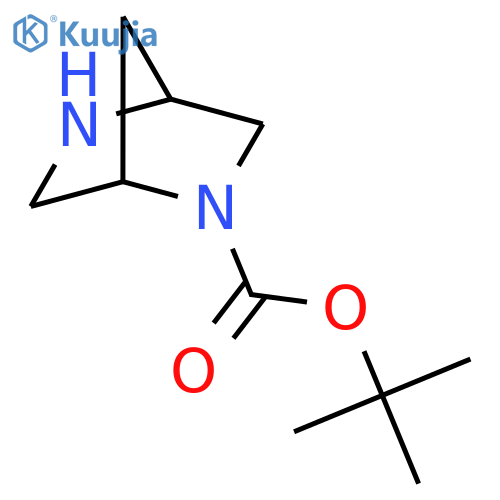 tert-butyl (1S,4S)-2,5-diazabicyclo[2.2.1]heptane-2-carboxylate structure