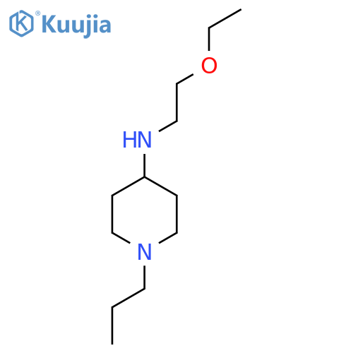 N-(2-ethoxyethyl)-1-propylpiperidin-4-amine structure