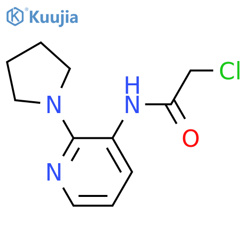 2-chloro-N-[2-(pyrrolidin-1-yl)pyridin-3-yl]acetamide structure