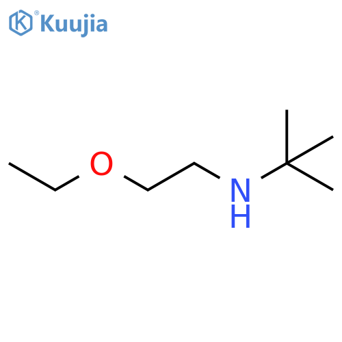 tert-butyl(2-ethoxyethyl)amine structure