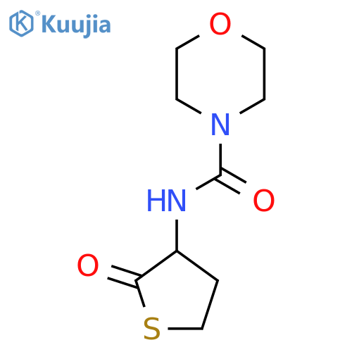 N-(2-oxothiolan-3-yl)morpholine-4-carboxamide structure