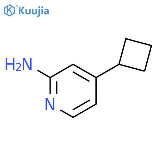 4-cyclobutylpyridin-2-aMine structure