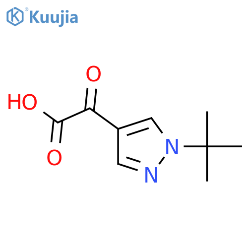 2-(1-tert-butyl-1H-pyrazol-4-yl)-2-oxoacetic acid structure