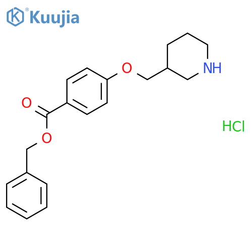 Benzyl 4-(3-piperidinylmethoxy)benzoatehydrochloride structure