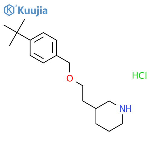 3-(2-{4-(tert-Butyl)benzyloxy}ethyl)piperidinehydrochloride structure