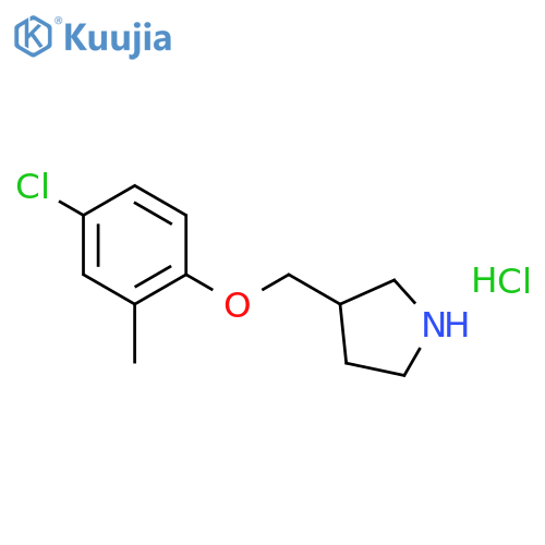 4-Chloro-2-methylphenyl 3-pyrrolidinylmethyl-ether hydrochloride structure
