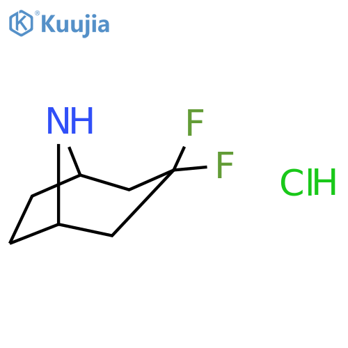 3,3-difluoro-8-azabicyclo[3.2.1]octane structure