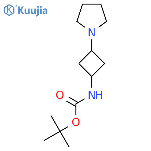 Tert-butyl 3-(pyrrolidin-1-yl)cyclobutylcarbamate structure