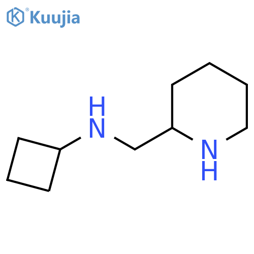 N-[(piperidin-2-yl)methyl]cyclobutanamine structure