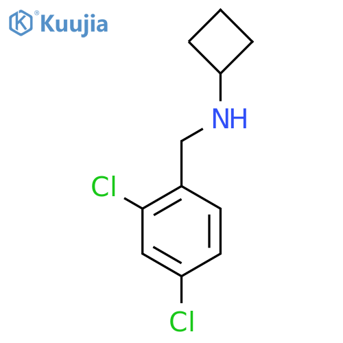 N-[(2,4-Dichlorophenyl)methyl]cyclobutanamine structure