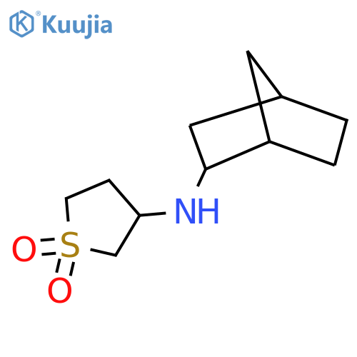 3-({bicyclo[2.2.1]heptan-2-yl}amino)-1λ?-thiolane-1,1-dione structure