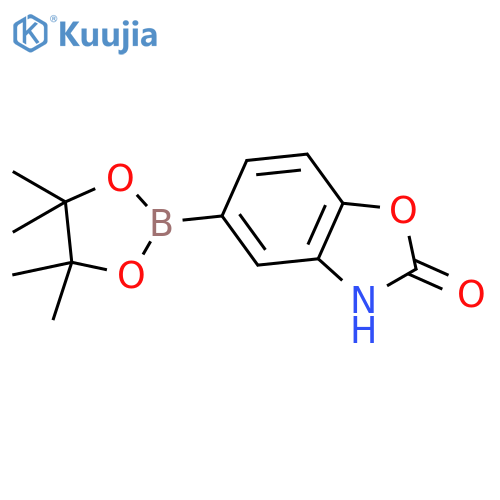 2-oxo-2,3-dihydrobenzoxazole-5-boronic acid pinacol ester structure