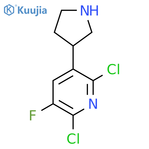2,6-dichloro-3-fluoro-5-(pyrrolidin-3-yl)pyridine structure