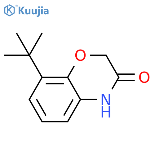 8-tert-butyl-3,4-dihydro-2H-1,4-benzoxazin-3-one structure