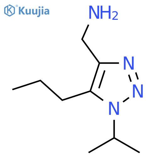 [1-(propan-2-yl)-5-propyl-1H-1,2,3-triazol-4-yl]methanamine structure