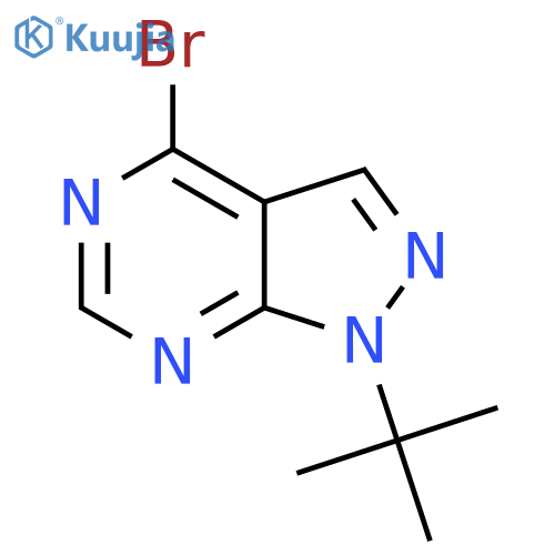 4-Bromo-1-tert-butyl-1H-pyrazolo[3,4-D]pyrimidine structure