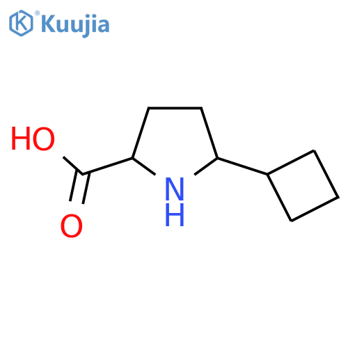 Proline, 5-cyclobutyl- structure