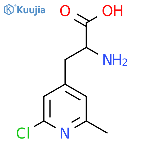 2-amino-3-(2-chloro-6-methylpyridin-4-yl)propanoic acid structure