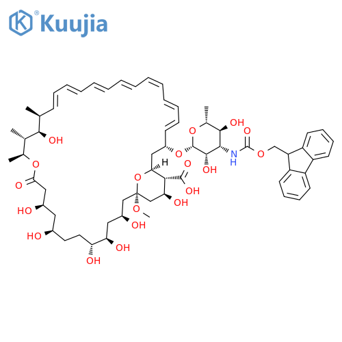 N-(9H-fluoren-9-ylmethoxy)carbonyl-13-O-methyl-Amphotericin B structure