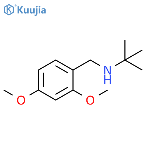 tert-butyl[(2,4-dimethoxyphenyl)methyl]amine structure