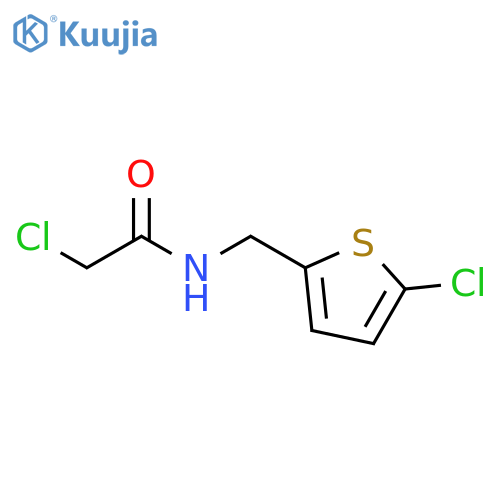 2-chloro-N-(5-chlorothiophen-2-yl)methylacetamide structure