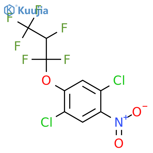 Benzene,1,4-dichloro-2-(1,1,2,3,3,3-hexafluoropropoxy)-5-nitro- structure