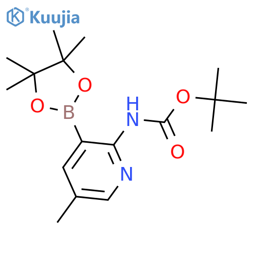 tert-Butyl (5-methyl-3-(4,4,5,5-tetramethyl-1,3,2-dioxaborolan-2-yl)pyridin-2-yl)carbamate structure