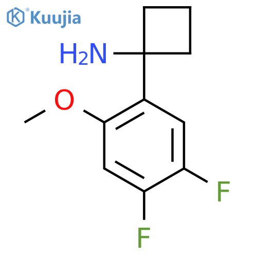 1-(4,5-difluoro-2-methoxyphenyl)cyclobutan-1-amine structure