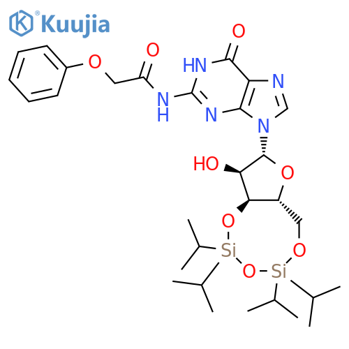 N2-Phenoxyacetyl-3',5'-O-(1,1,3,3-tetraisopropyl-1,3-disiloxanediyl)guanosine structure