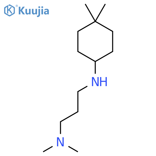 N-3-(dimethylamino)propyl-4,4-dimethylcyclohexan-1-amine structure