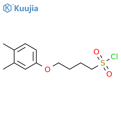 4-(3,4-dimethylphenoxy)butane-1-sulfonyl chloride structure