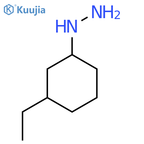 (3-Ethylcyclohexyl)hydrazine structure