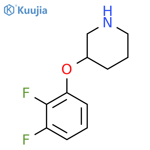 3-(2,3-difluorophenoxy)piperidine structure