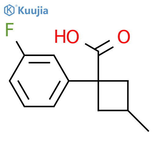 1-(3-fluorophenyl)-3-methylcyclobutane-1-carboxylic acid structure