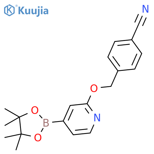 4-(((4-(4,4,5,5-Tetramethyl-1,3,2-dioxaborolan-2-yl)pyridin-2-yl)oxy)methyl)benzonitrile structure
