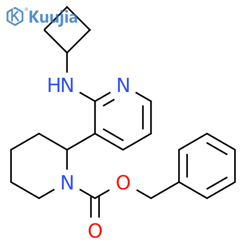 2-Cyclobutylamino-3,4,5,6-tetrahydro-2H-[2,3]bipyridinyl-1-carboxylic acid benzyl ester structure