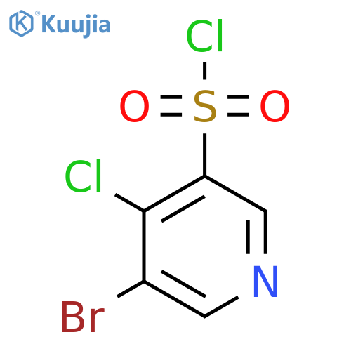 3-Bromo-4-chloropyridine-5-sulfonyl chloride structure