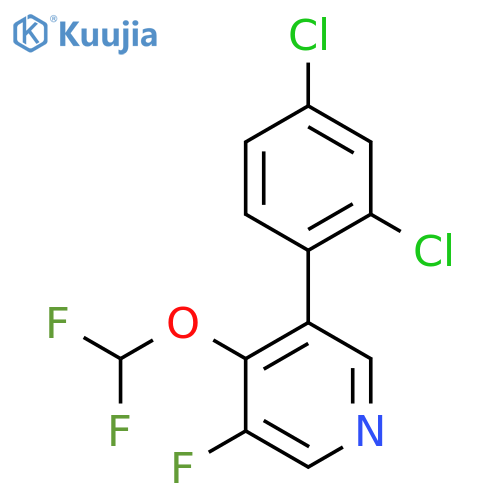 3-(2,4-Dichlorophenyl)-4-(difluoromethoxy)-5-fluoropyridine structure
