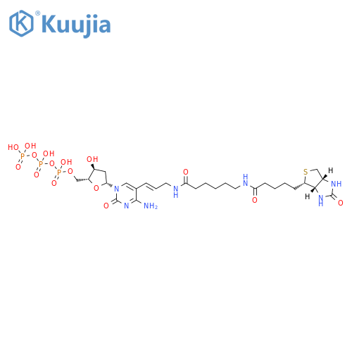 Biotin-11-dCTP structure